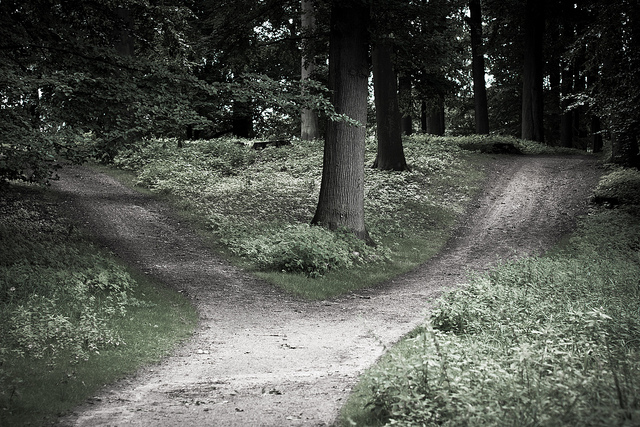 Image: "Crossroads"