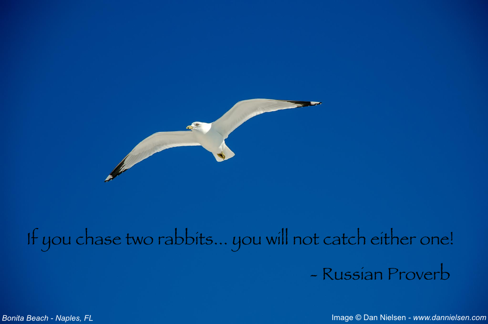 "If you chase two rabbits… you will not catch either one!" - Russian Proverb