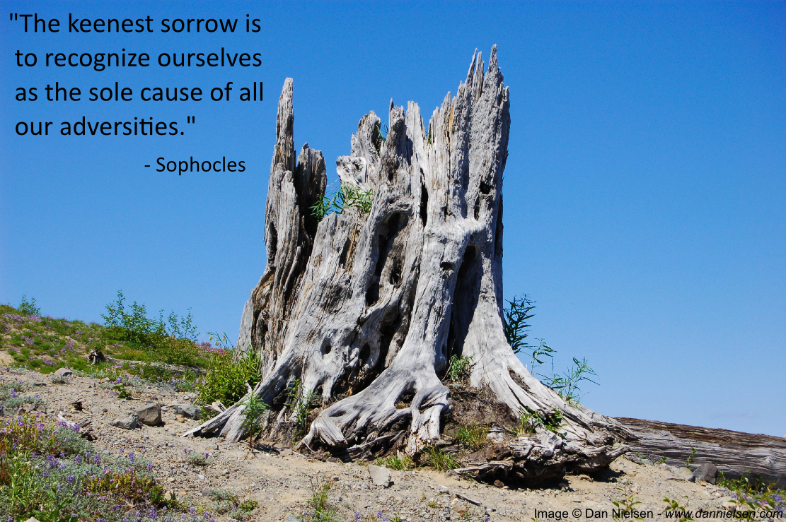 "The keenest sorrow is to recognize ourselves as the sole cause of all our adversities."  - Sophocles