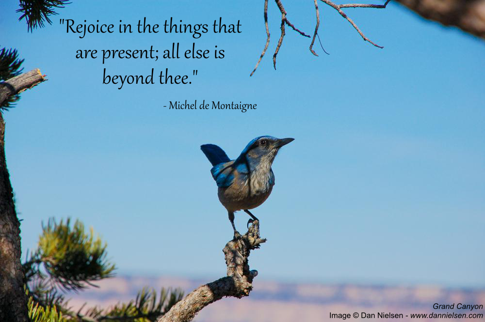 Rejoice in the things that are present; all else is beyond thee.” - Michel de Montaigne 