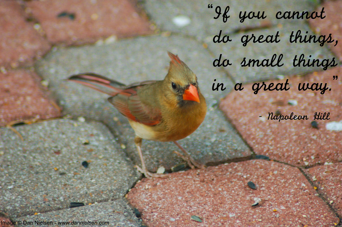 “If you cannot do great things, do small things in a great way. ” - Napoleon Hill