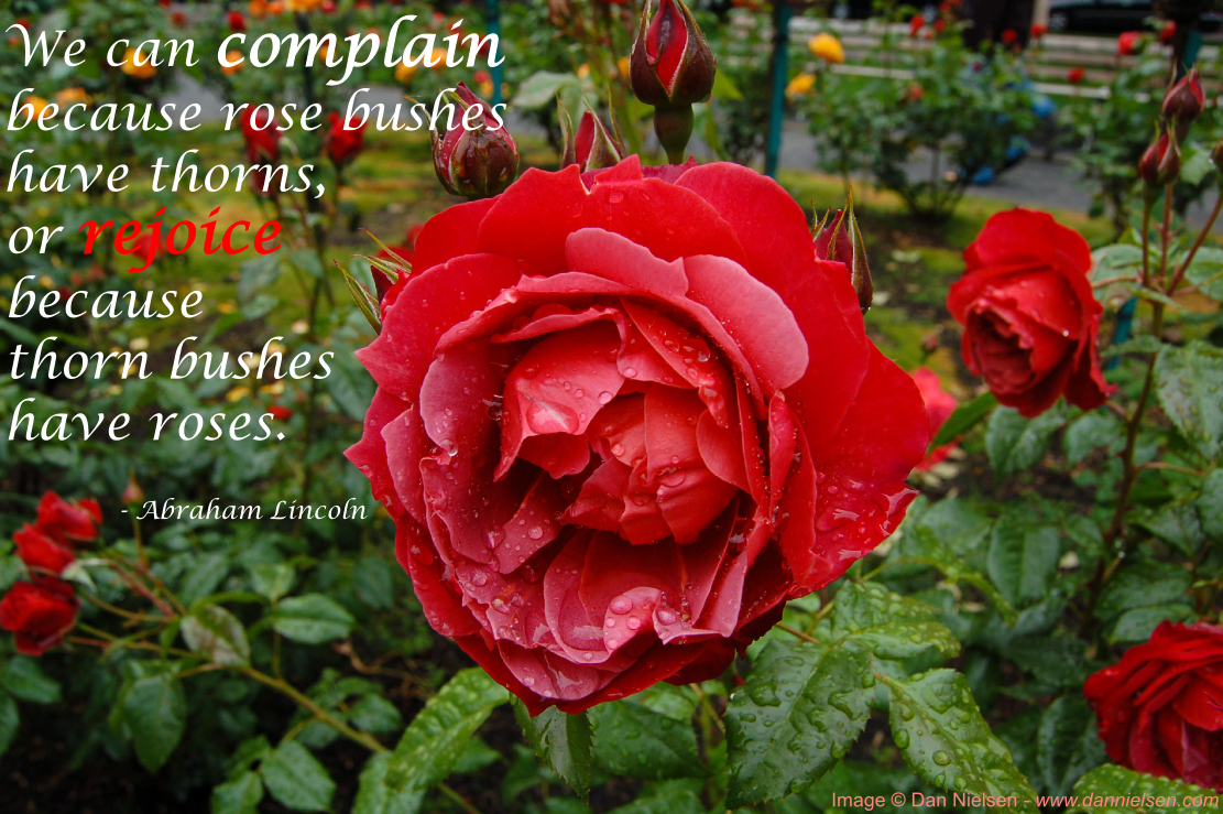 “We can complain because rose bushes have thorns, or rejoice because thorn bushes have roses.” - Abraham Lincoln