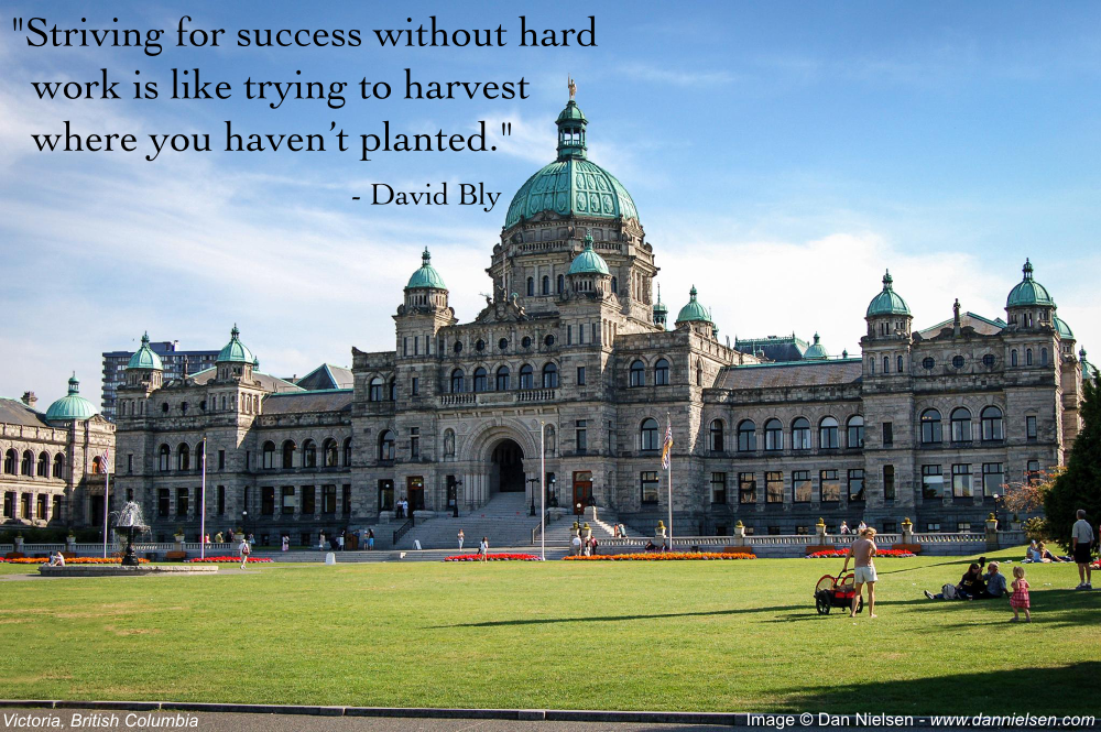 "Striving for success without hard work is like trying  to harvest where you haven’t planted." - David Bly
