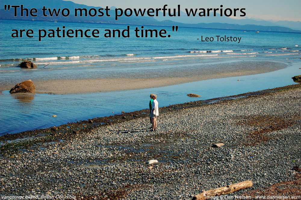 "The two most powerful warriors are patience and time." - Leo Tolstoy