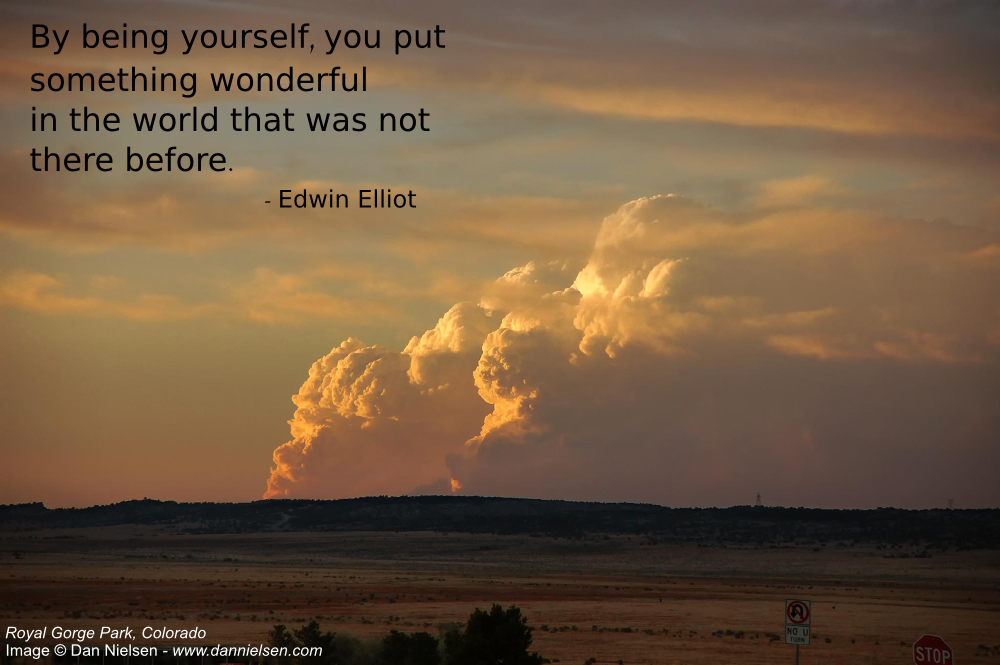 "By being yourself, you put something wonderful in the world that was not there before."  - Edwin Elliot