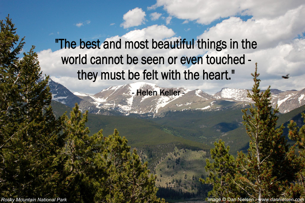 "The best and most beautiful things in the world cannot be seen or even touched–they must be felt with the heart." - Helen Keller