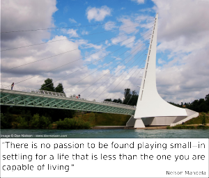 "There is no passion to be found playing small—in settling for a life that is less than the one you are capable of living." - Nelson Mandela
