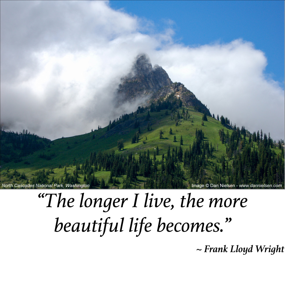 “The longer I live, the more beautiful life becomes.” ~ Frank Lloyd Wright