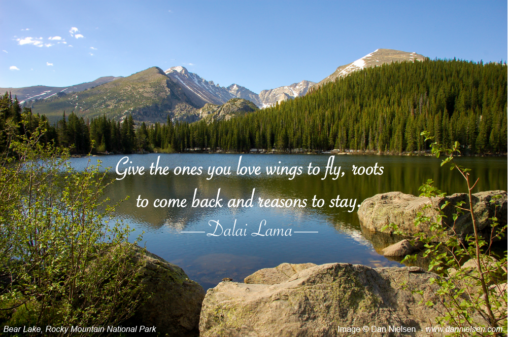 Give the ones you love wings to fly, roots to come back and reasons to stay. - Dalai Lama