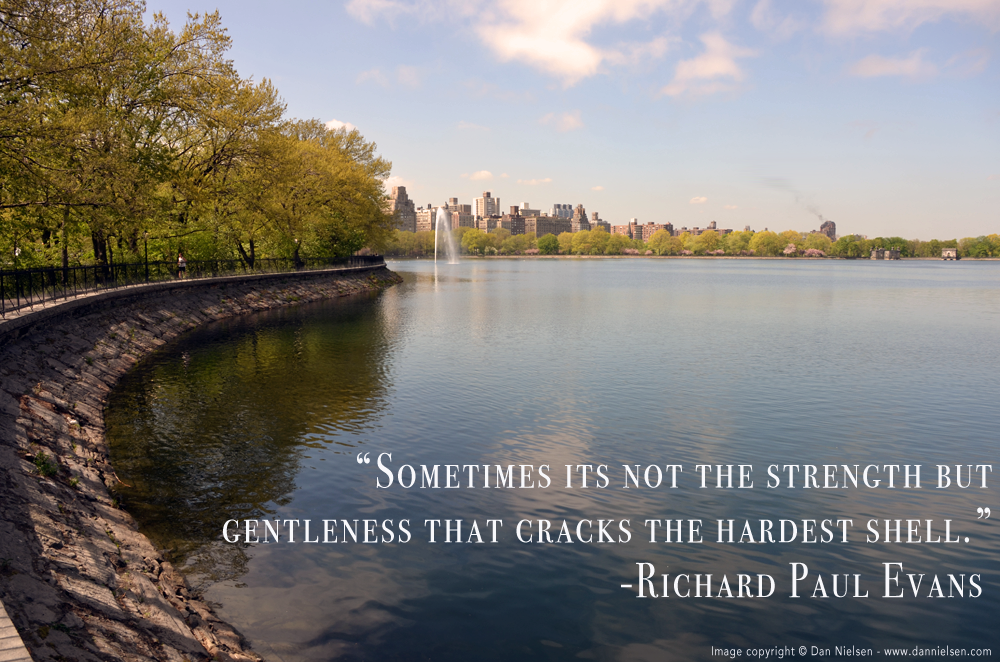 "Sometimes its not the strength but gentleness that cracks the hardest shell." - Richard Paul Evans. 