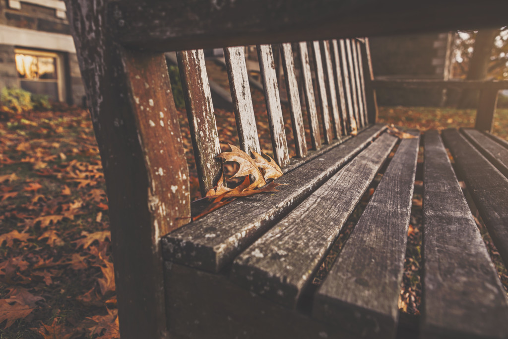 wood-bench-park-autumn